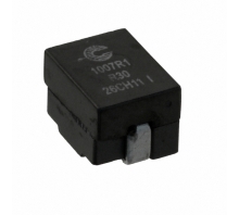 Obraz FP1007R1-R30-R.