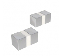 Obraz CI100505-R10J.