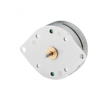 Obraz 42M048C1B-R16.