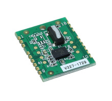 Obraz FSM305.