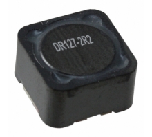 Obraz DR127-2R2-R.