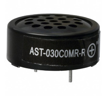 Obraz AST-030C0MR-R.